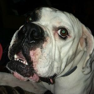 Meet your Posher, Ash